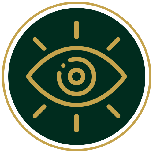 Vision